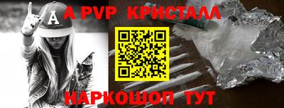 PSILOCYBIN Можга