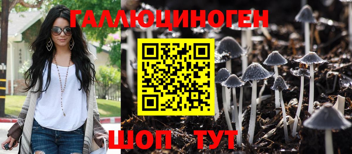Галлюциногенные грибы MAGIC MUSHROOMS Тверь